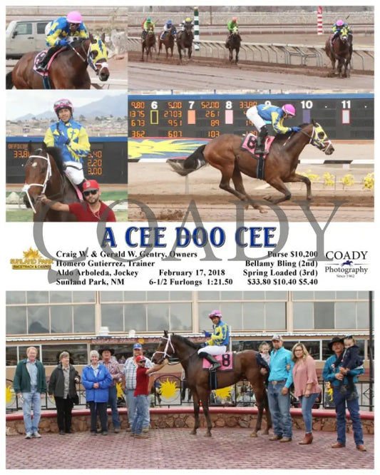 A Cee Doo - 021718 Race 2 Sun Sunland Park