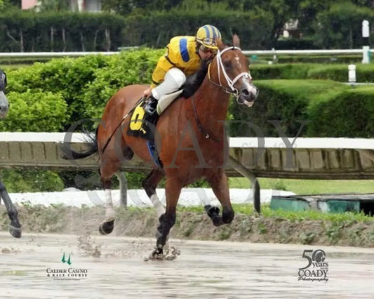 A Centurian - 071212 Race 04 001 Calder Course