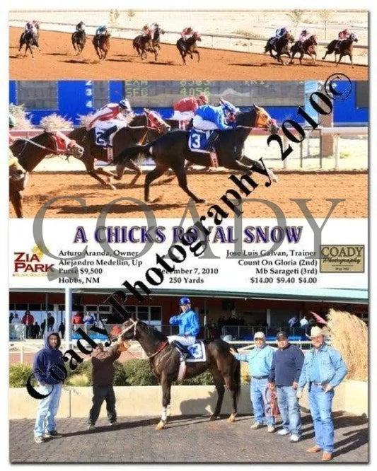 A Chicks Royal Snow - 12/7/2010 Zia Park