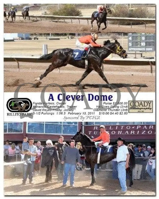 A Clever Dome - 021311 Rillito Park