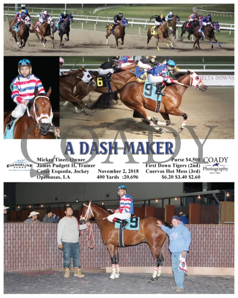A Dash Maker - 110218 Race 07 Evd Evangeline Downs