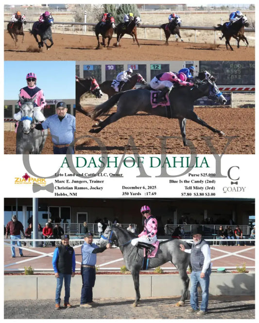 A DASH OF DAHLIA - 12-06-25 - R05 - ZIA - Coady Media - Kurtis Coady Photography