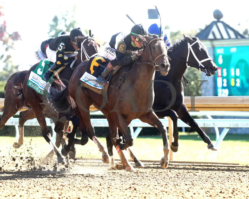 A FINE CHARDONNAY - The Dean Dorton Myrtlewood - 10-24-25 - R06 - KEE - Finish 02 Keeneland