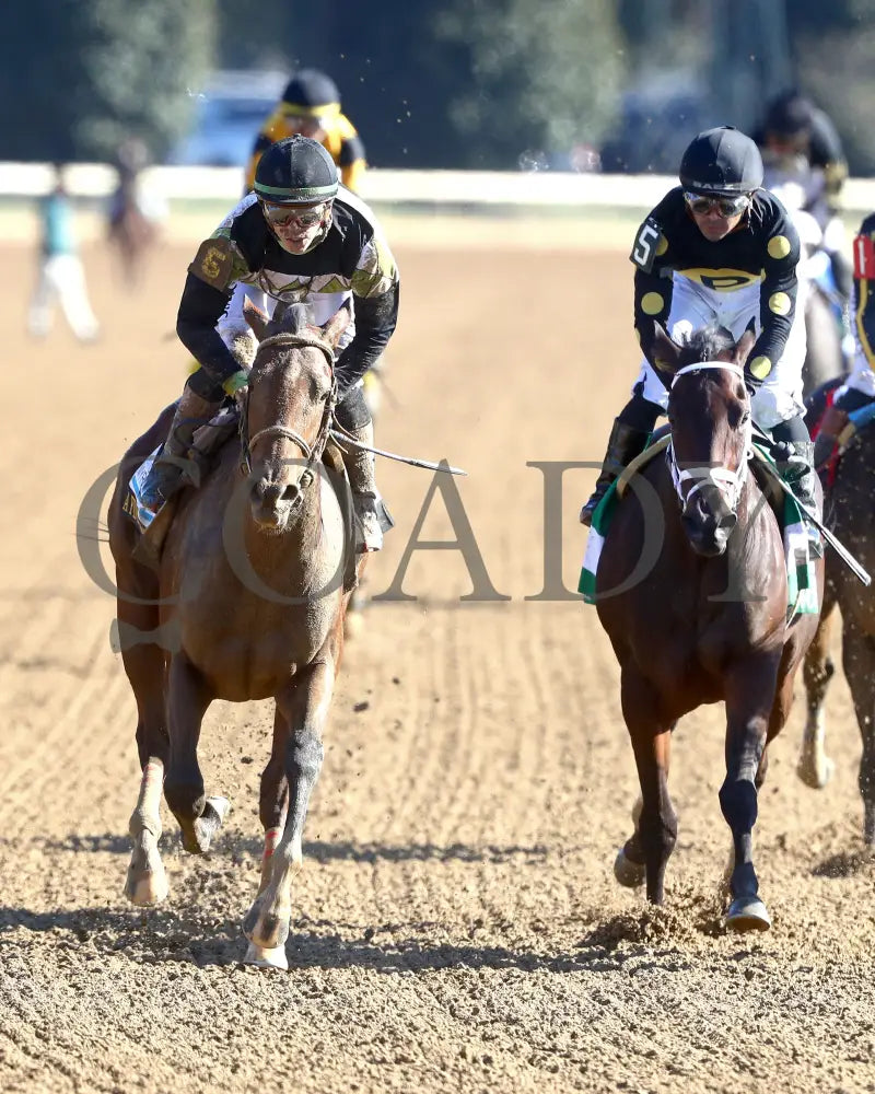 A FINE CHARDONNAY - The Dean Dorton Myrtlewood - 10-24-25 - R06 - KEE - Gallop Out 01 Keeneland