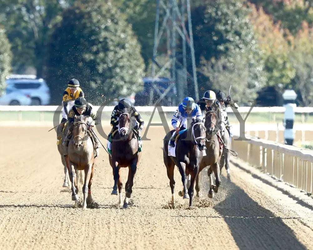 A FINE CHARDONNAY - The Dean Dorton Myrtlewood - 10-24-25 - R06 - KEE - Head On 01 Keeneland