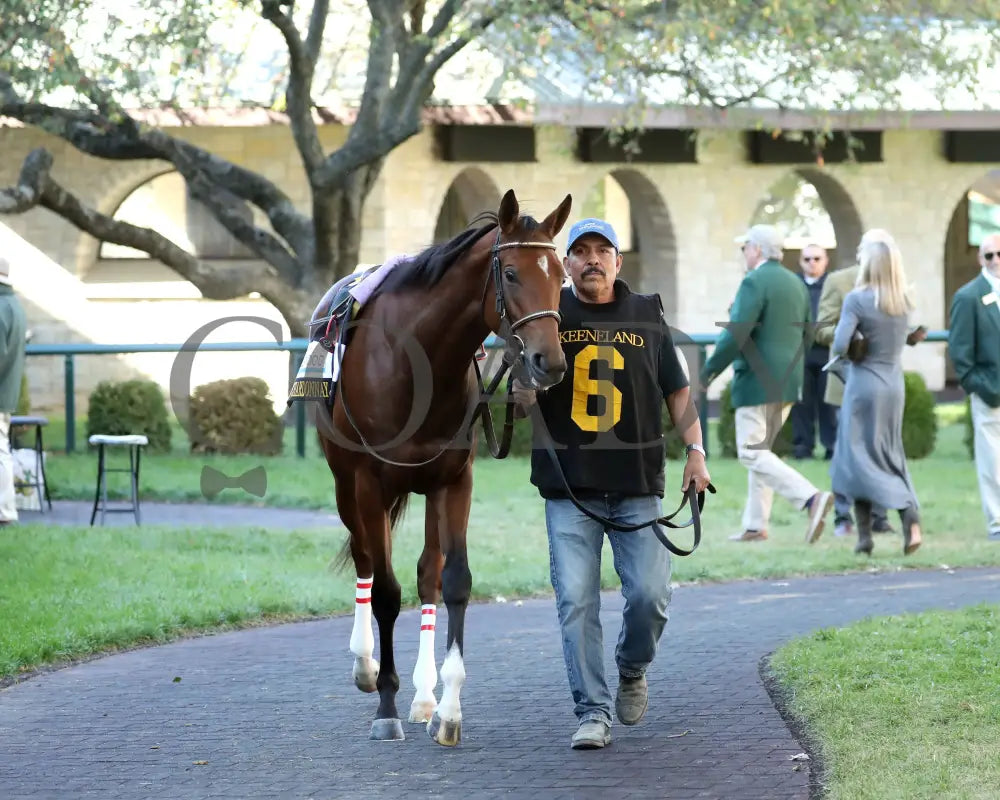 A FINE CHARDONNAY - The Dean Dorton Myrtlewood - 10-24-25 - R06 - KEE - Paddock 01 Keeneland