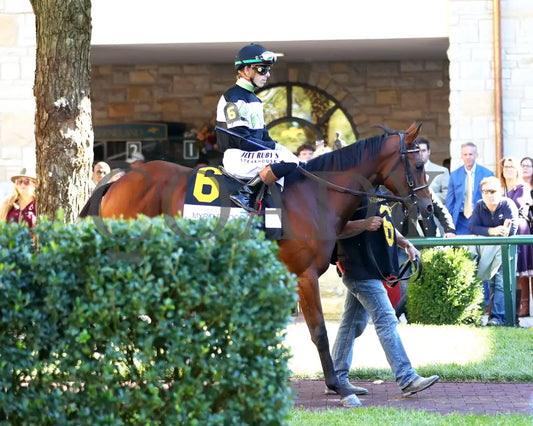 A FINE CHARDONNAY - The Dean Dorton Myrtlewood - 10-24-25 - R06 - KEE - Paddock 02 Keeneland