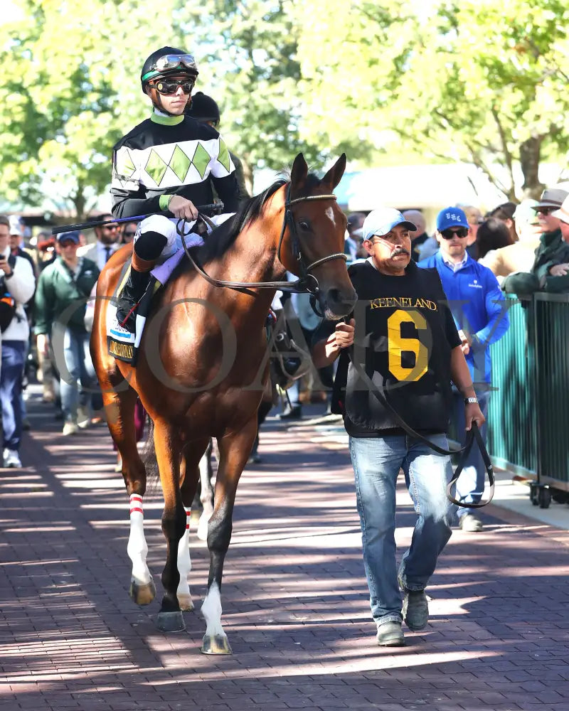 A FINE CHARDONNAY - The Dean Dorton Myrtlewood - 10-24-25 - R06 - KEE - Paddock 04 Keeneland