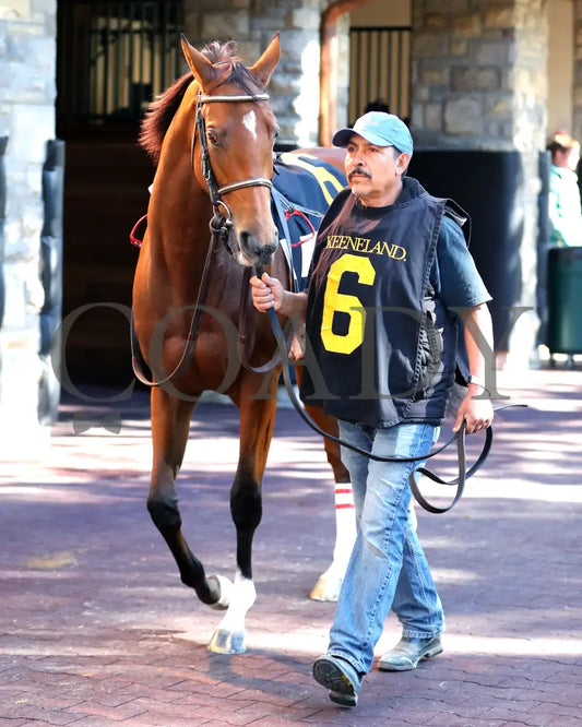 A FINE CHARDONNAY - The Dean Dorton Myrtlewood - 10-24-25 - R06 - KEE - Paddock 06 Keeneland