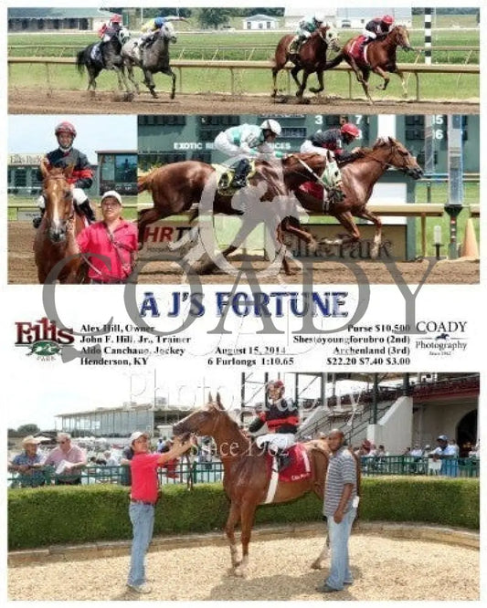 A J’s Fortune - 081514 Race 03 Elp Ellis Park