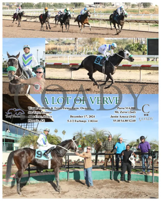 A Lot Of Verve - 12-17-24 R05 Tup Turf Paradise