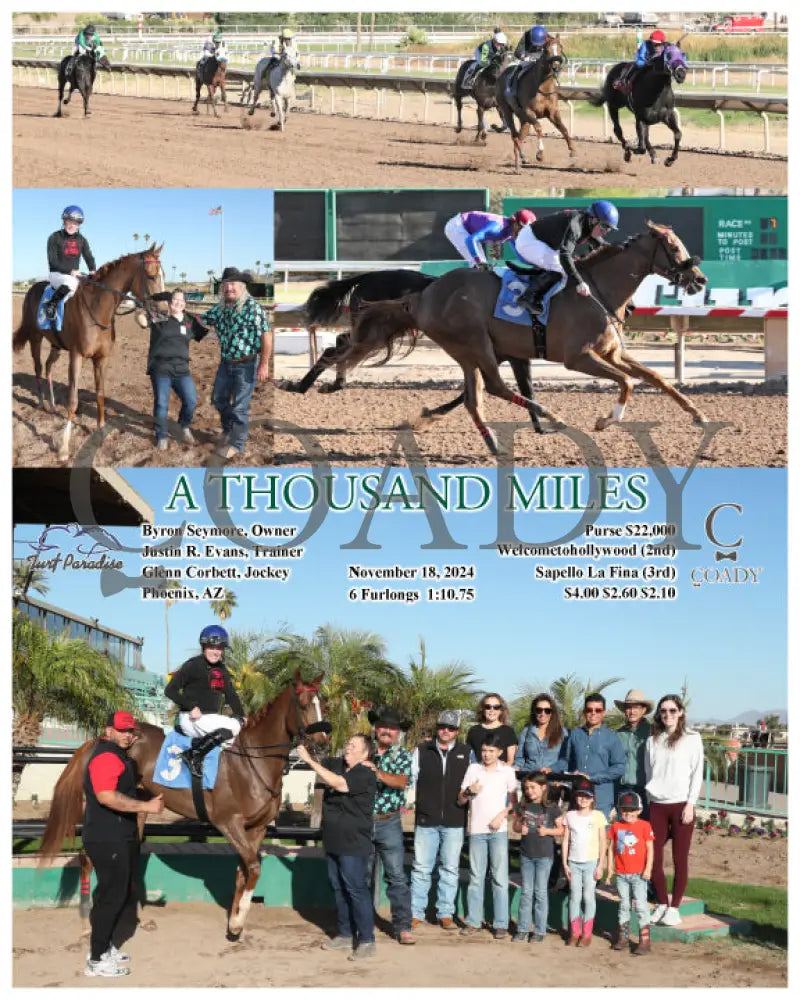 A Thousand Miles - 11-18-24 R07 Tup Turf Paradise