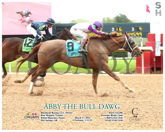 Abby The Bull Dawg - 03 - 17 - 24 R05 Op Action Oaklawn Park