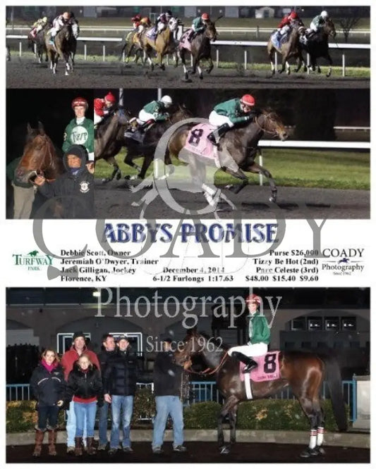 Abbys Promise - 120414 Race 08 Tp Turfway Park