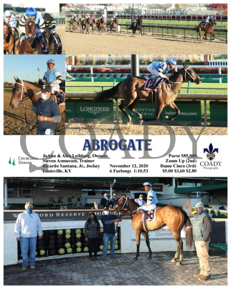 Abrogate - 11-12-20 R08 Cd Churchill Downs