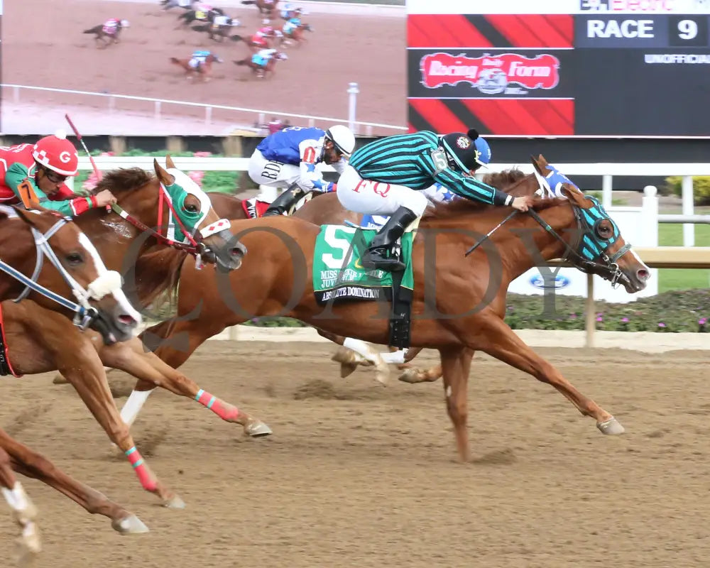 ABSOLUTE DOMINATION - Miss Roxie Little Juvenile Stakes - 10-25-25 - R09 - Horseshoe Indiana - Finish 01 - Sammantha
