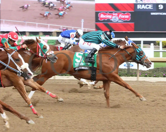 ABSOLUTE DOMINATION - Miss Roxie Little Juvenile Stakes - 10-25-25 - R09 - Horseshoe Indiana - Finish 01 - Sammantha