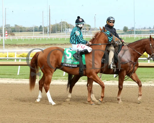 ABSOLUTE DOMINATION - Miss Roxie Little Juvenile Stakes - 10-25-25 - R09 - Horseshoe Indiana - Post Parade 01 - Devin