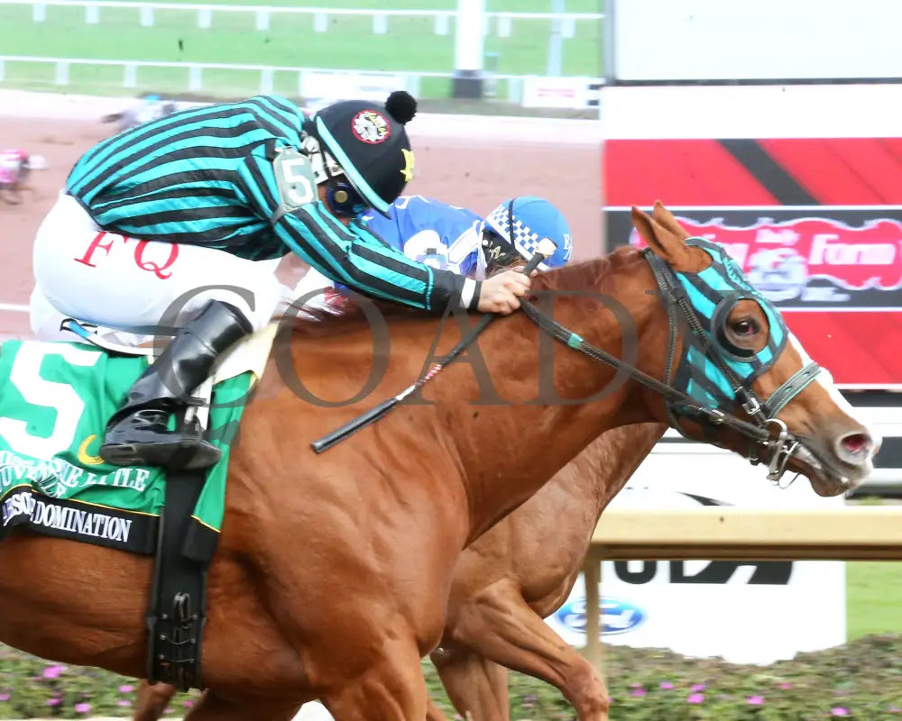 ABSOLUTE DOMINATION - Miss Roxie Little Juvenile Stakes - 10-25-25 - R09 - Horseshoe Indiana - Tight Finish 01 - Devin