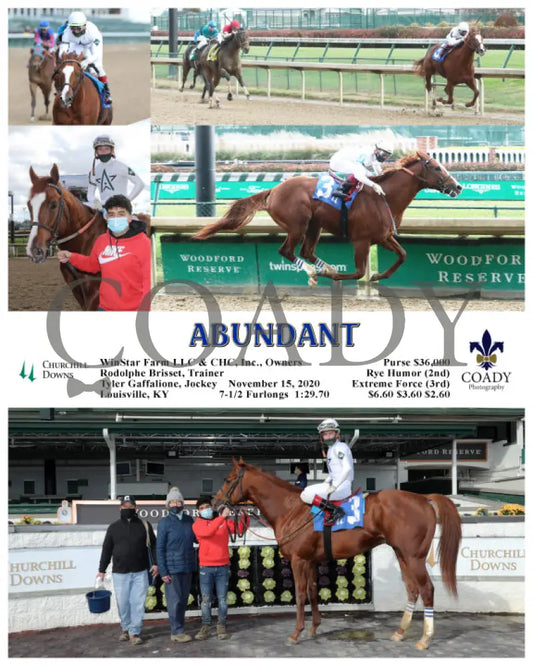 Abundant - 11-15-20 R01 Cd Churchill Downs