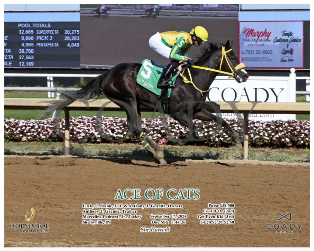 Ace Of Cats - 09-17-24 R06 Ind Action Indiana Grand