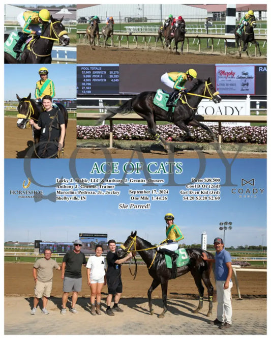Ace Of Cats - 09-17-24 R06 Ind Indiana Grand