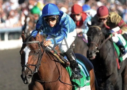 Acoma - The Juddmonte Spinster Keeneland