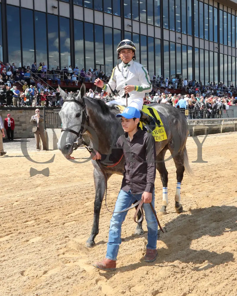 Acting Out - The Carousel 43Rd Running 04-02-22 R05 Op Come Back 01 Oaklawn Park