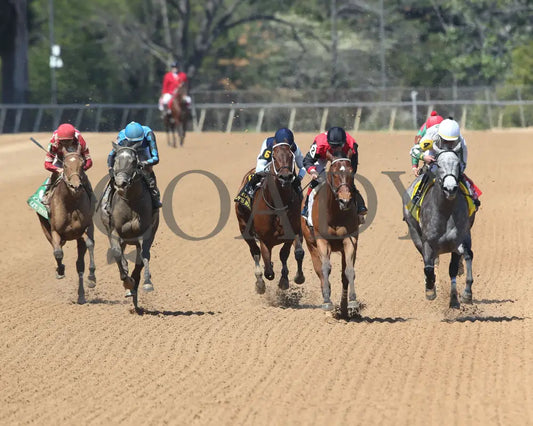 Acting Out - The Carousel 43Rd Running 04-02-22 R05 Op Head On 01 Oaklawn Park