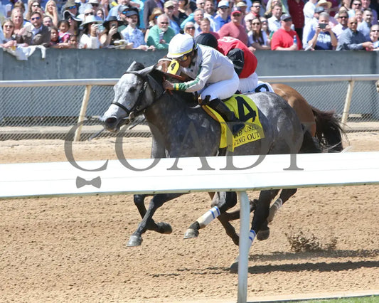 Acting Out - The Carousel 43Rd Running 04-02-22 R05 Op Inside Finish 01 Oaklawn Park