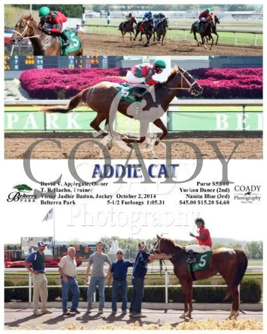 ADDIE CAT - 100214 - Race 02 - BTP - Coady Media - Kurtis Coady Photography