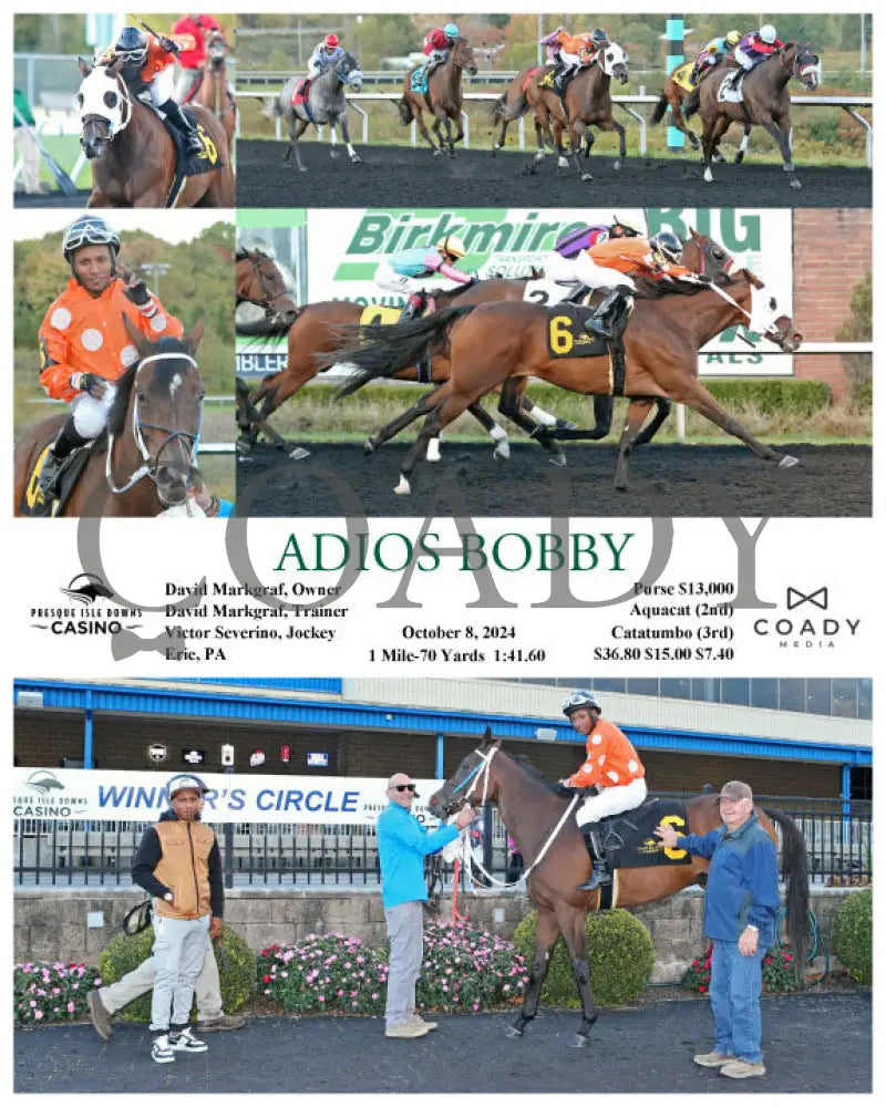 Adios Bobby - 10-08-24 R08 Pid Presque Isle Downs