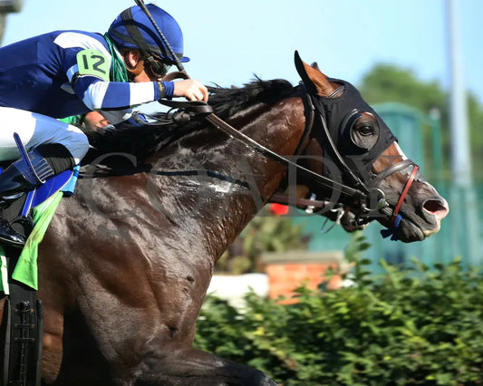 Admission Office - The Louisville G3 83Rd Running 06-13-20 R11 Cd Finish 03 Churchill Downs