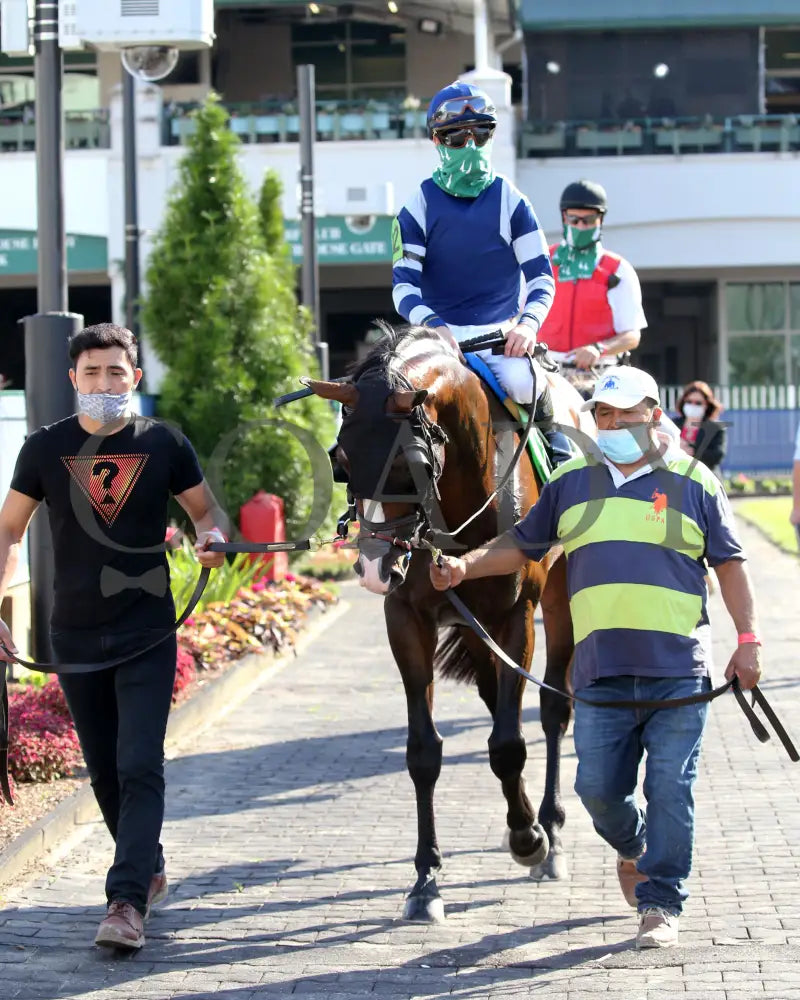Admission Office - The Louisville G3 83Rd Running 06-13-20 R11 Cd Paddock 02 Churchill Downs
