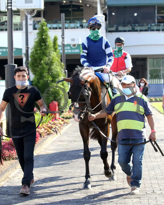 Admission Office - The Louisville G3 83Rd Running 06-13-20 R11 Cd Paddock 02 Churchill Downs