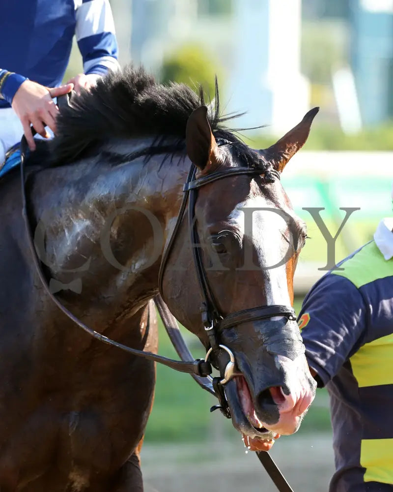 Admission Office - The Louisville G3 83Rd Running 06-13-20 R11 Cd Post Race 02 Churchill Downs