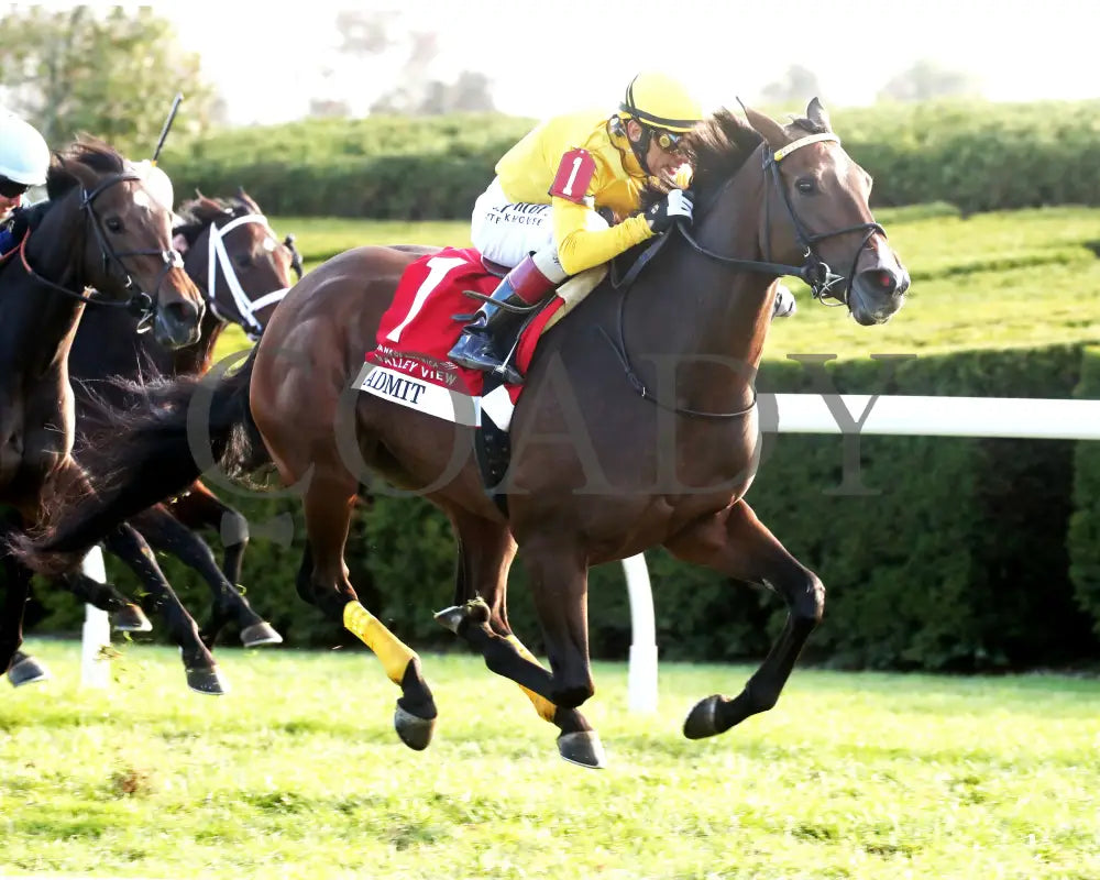 ADMIT - The Bank of America Valley View - G2 - 10-24-25 - R09 - KEE - Finish 02 Keeneland
