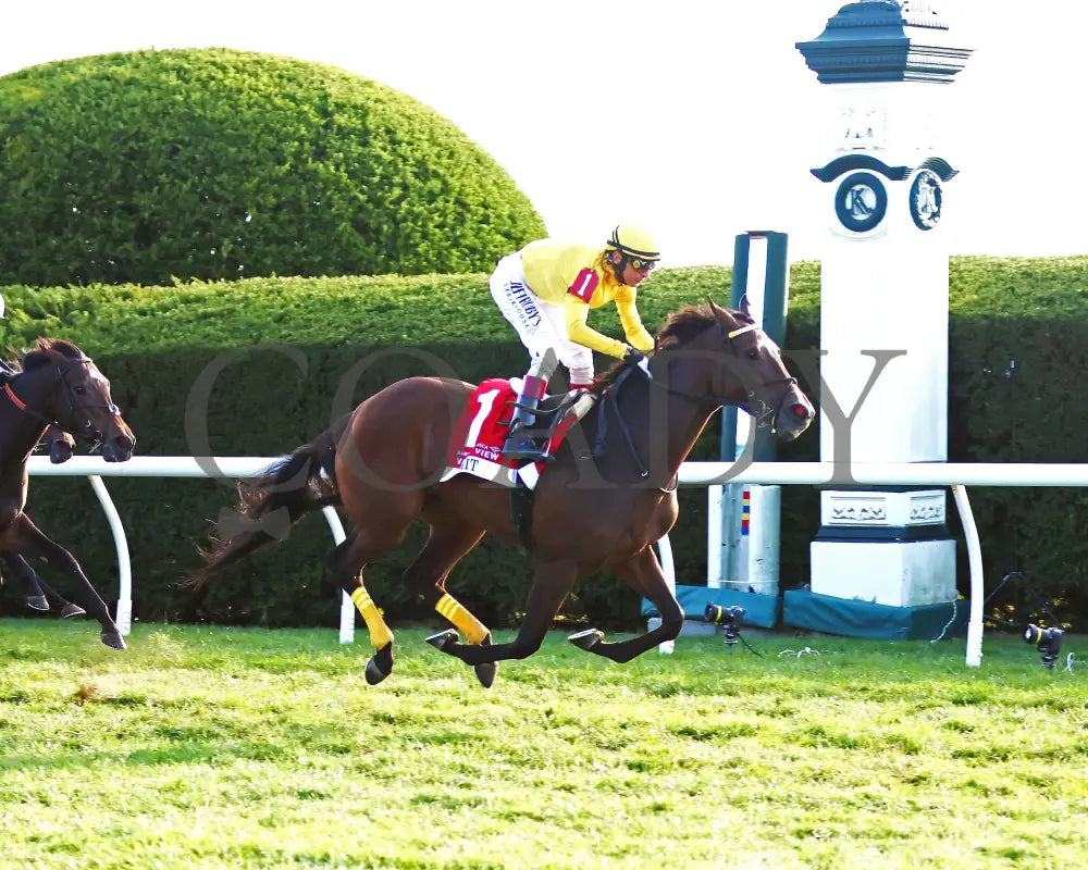 ADMIT - The Bank of America Valley View - G2 - 10-24-25 - R09 - KEE - Finish 03 Keeneland