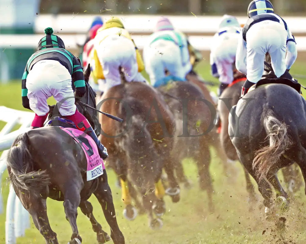 ADMIT - The Bank of America Valley View - G2 - 10-24-25 - R09 - KEE - First Turn 02 Keeneland