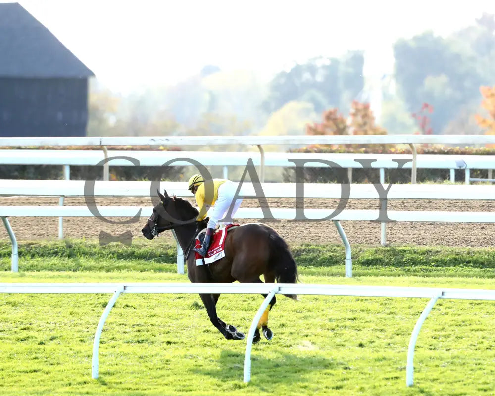 ADMIT - The Bank of America Valley View - G2 - 10-24-25 - R09 - KEE - Gallop Out 02 Keeneland