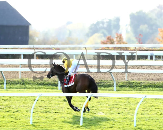 ADMIT - The Bank of America Valley View - G2 - 10-24-25 - R09 - KEE - Gallop Out 02 Keeneland