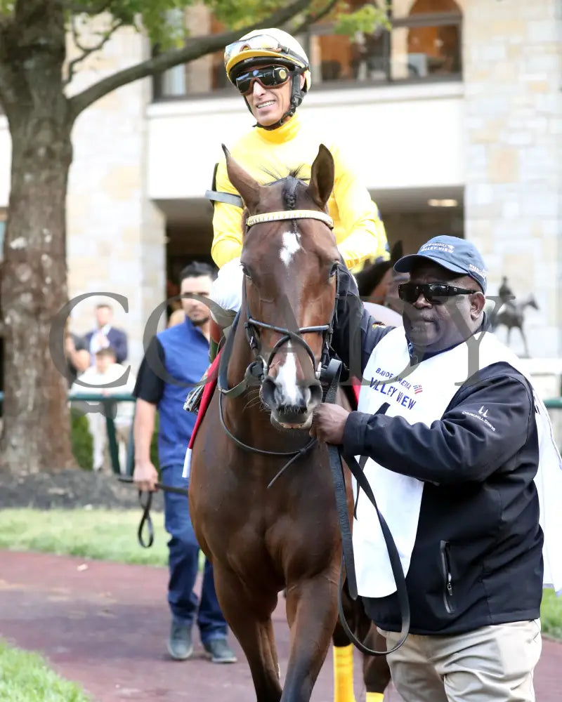 ADMIT - The Bank of America Valley View - G2 - 10-24-25 - R09 - KEE - Paddock 01 Keeneland