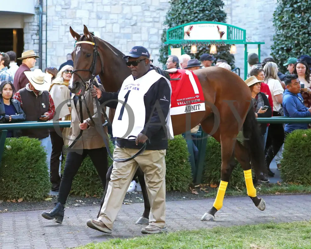 ADMIT - The Bank of America Valley View - G2 - 10-24-25 - R09 - KEE - Paddock 05 Keeneland
