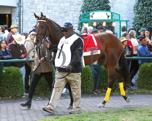 ADMIT - The Bank of America Valley View - G2 - 10-24-25 - R09 - KEE - Paddock 05 Keeneland