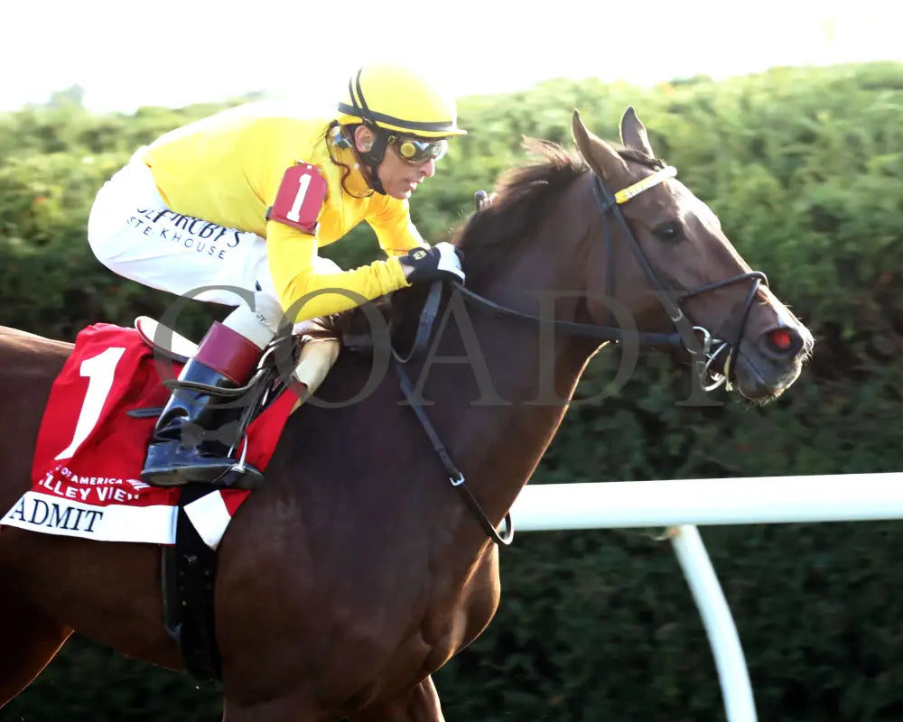 ADMIT - The Bank of America Valley View - G2 - 10-24-25 - R09 - KEE - Tight Finish 02 Keeneland
