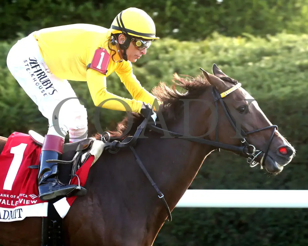 ADMIT - The Bank of America Valley View - G2 - 10-24-25 - R09 - KEE - Tight Finish 03 Keeneland