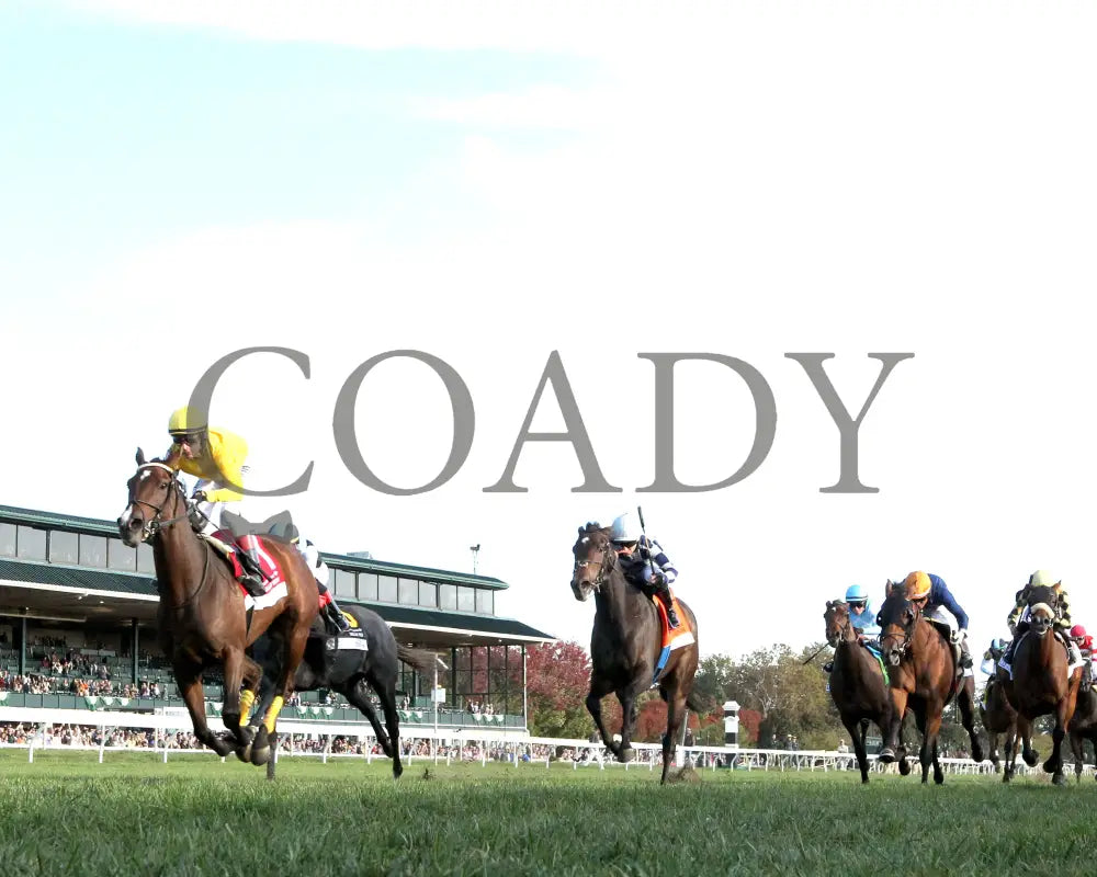 ADMIT - The Bank of America Valley View - G2 - 10-24-25 - R09 - KEE - Under Rail 01 Keeneland