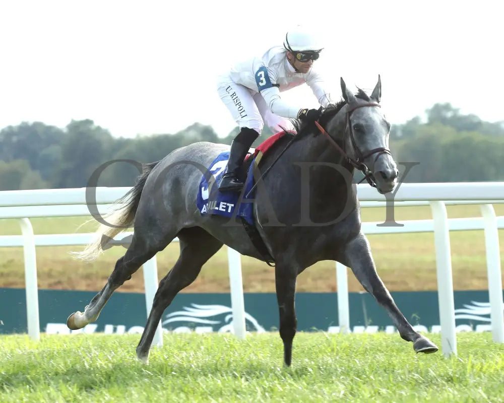 Ag Bullet - The Exacta Systems Ladies Turf Sprint G2 08-31-24 R09 Kd Finish 03 Kentucky Downs