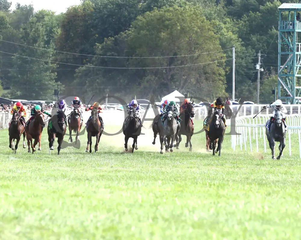 Ag Bullet - The Exacta Systems Ladies Turf Sprint G2 08-31-24 R09 Kd Head On 01 Kentucky Downs