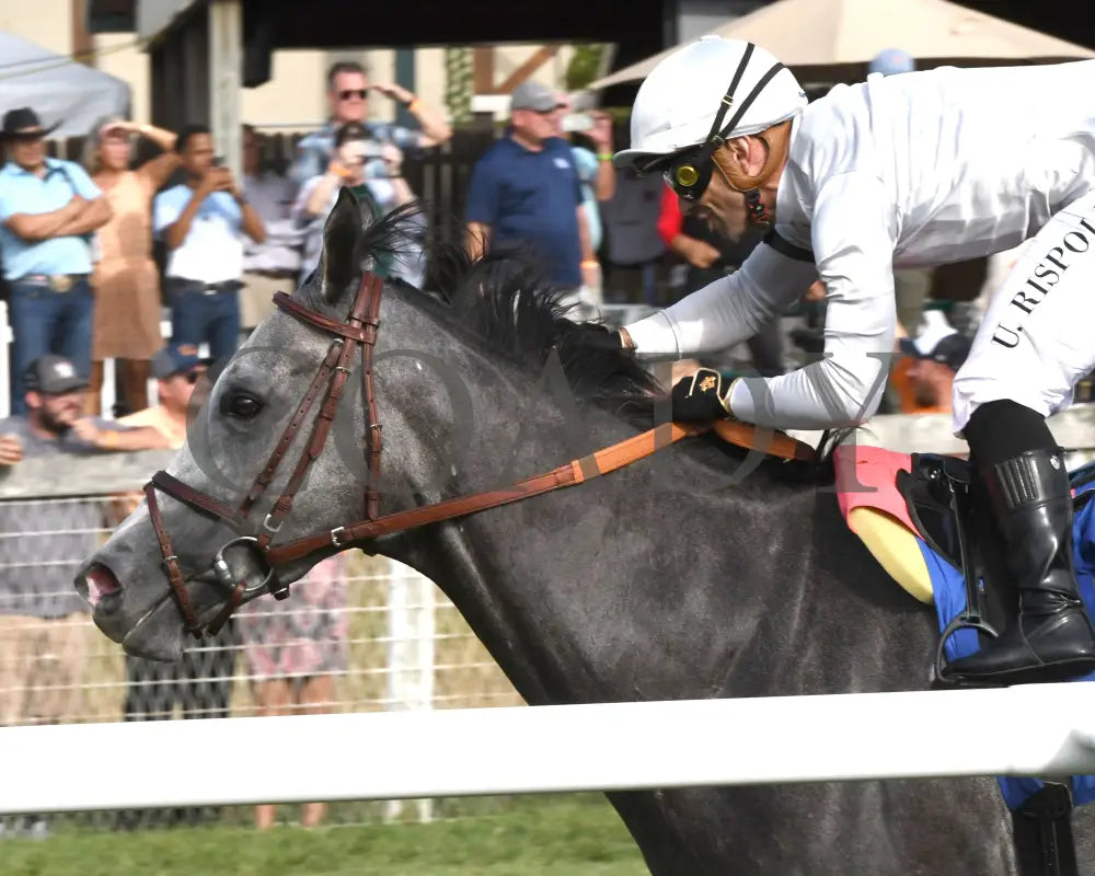 Ag Bullet - The Exacta Systems Ladies Turf Sprint G2 08-31-24 R09 Kd Inside Finish 01 Kentucky Downs
